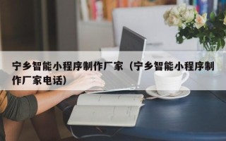 温州宁乡智能小程序制作厂家（宁乡智能小程序制作厂家电话）