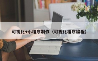 温州可视化+小程序制作（可视化程序编程）